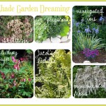Planning for my Shady Boulevard Gar...
