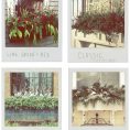 Winter Window Boxes