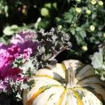 Fall Steps