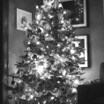 Gettin' a Tree and Other Stuff Too