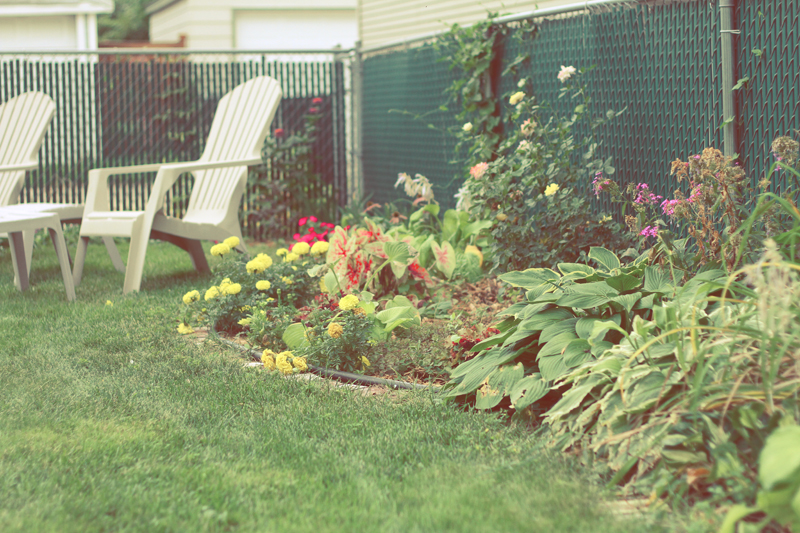 August Garden