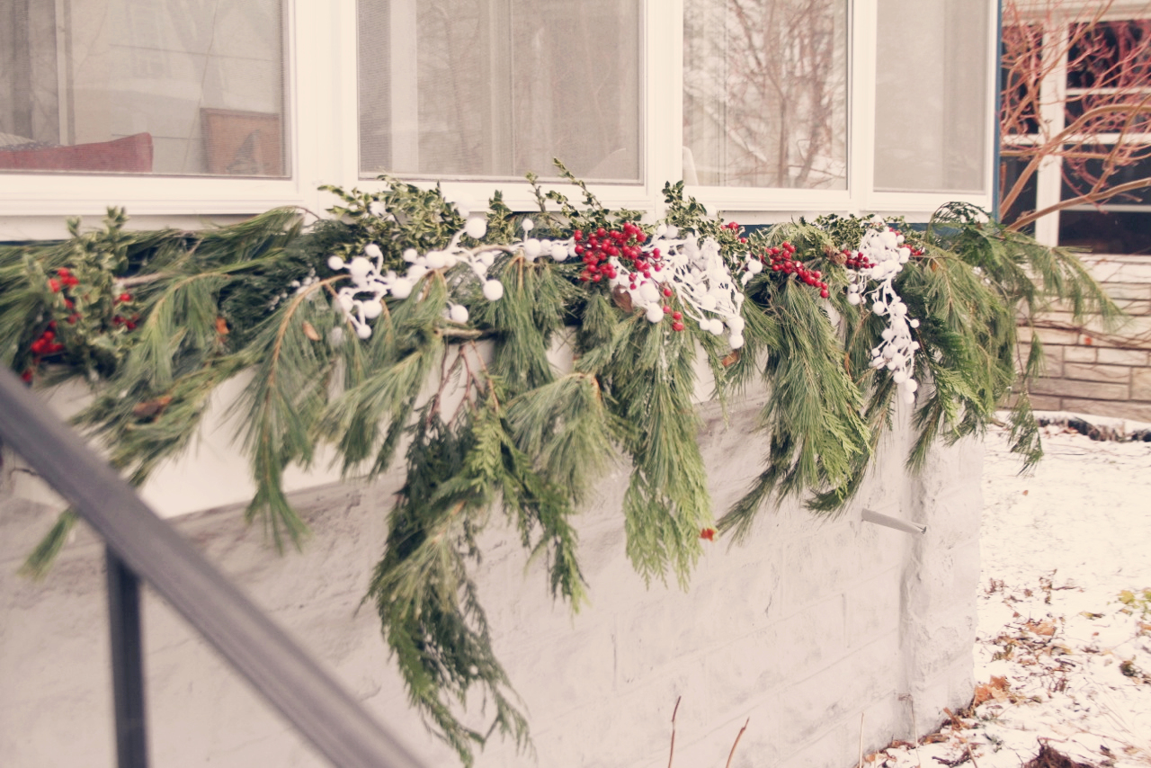 Holiday Window Boxes