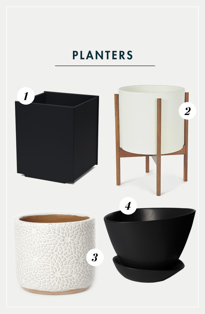 Modern Planters