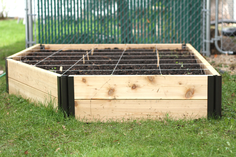 Raised Bed Garden