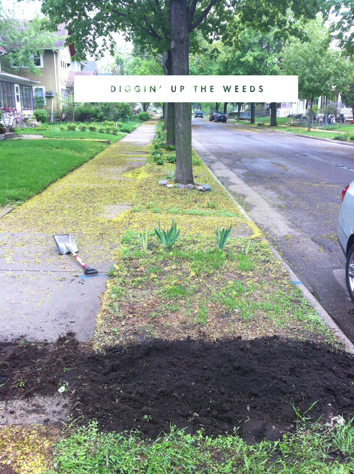 Digging up the boulevard