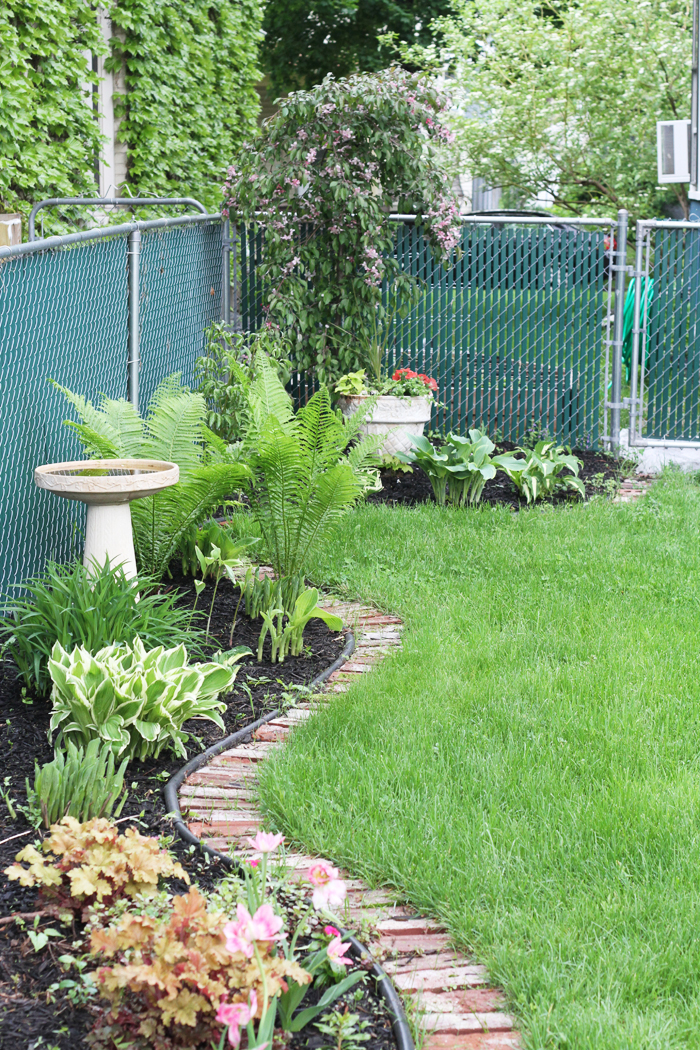 Backyard Border Garden