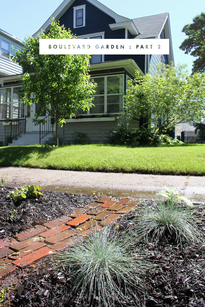 My Newly Planted Boulevard Garden