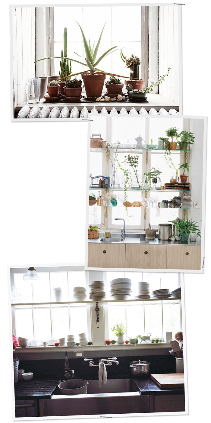 Plant Shelves in Windows