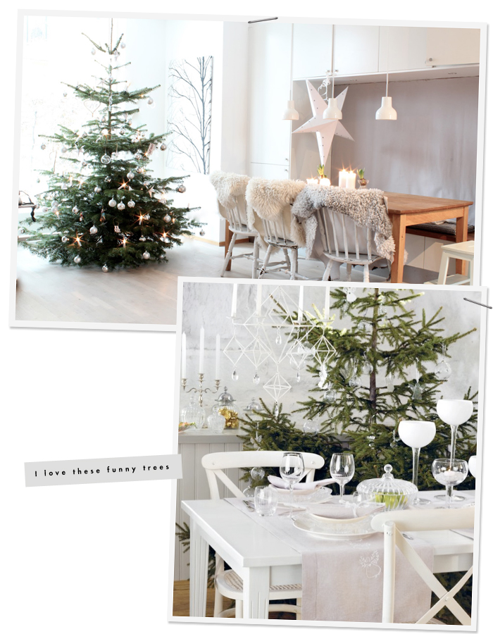 Perfect Nordic Christmas Trees