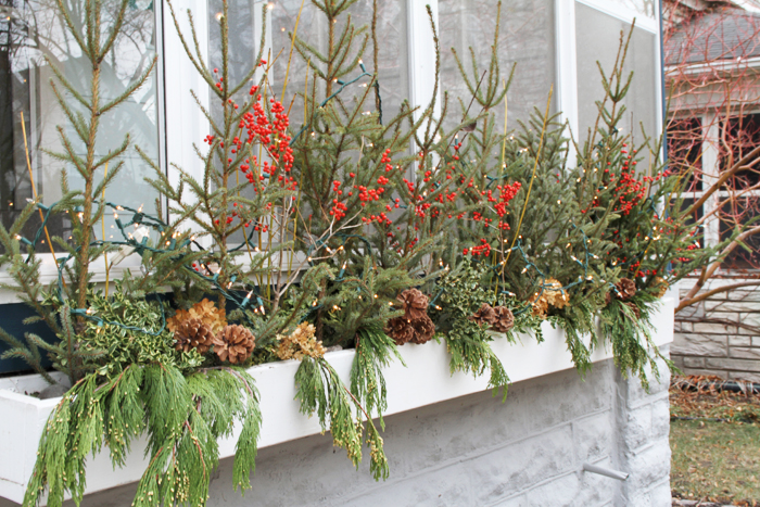 Minneapolis Window Boxes