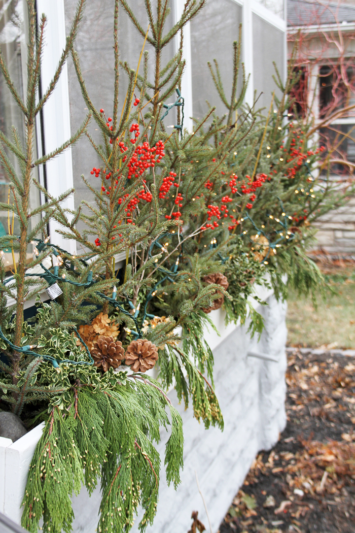 Minneapolis Window Boxes