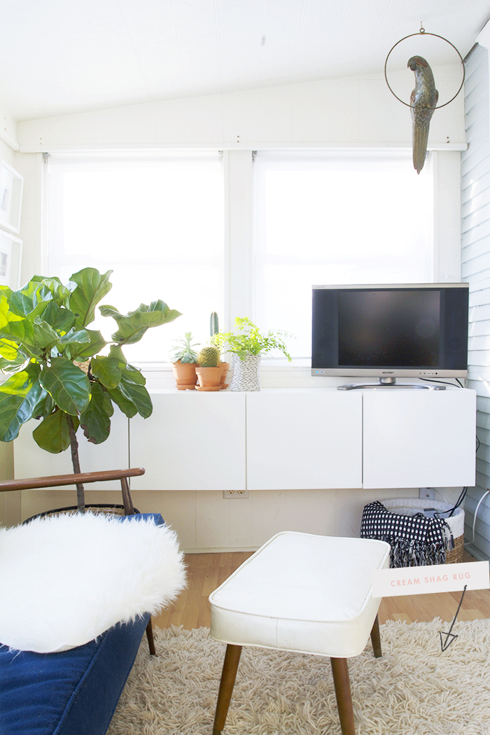 Cream Shag rug in the Sunroom