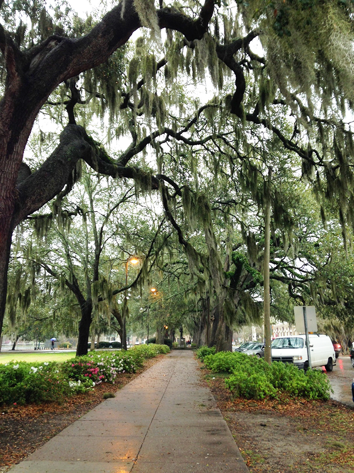 Spring in Savannah