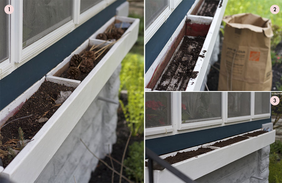 How to Plant Window Box & Container Gardens