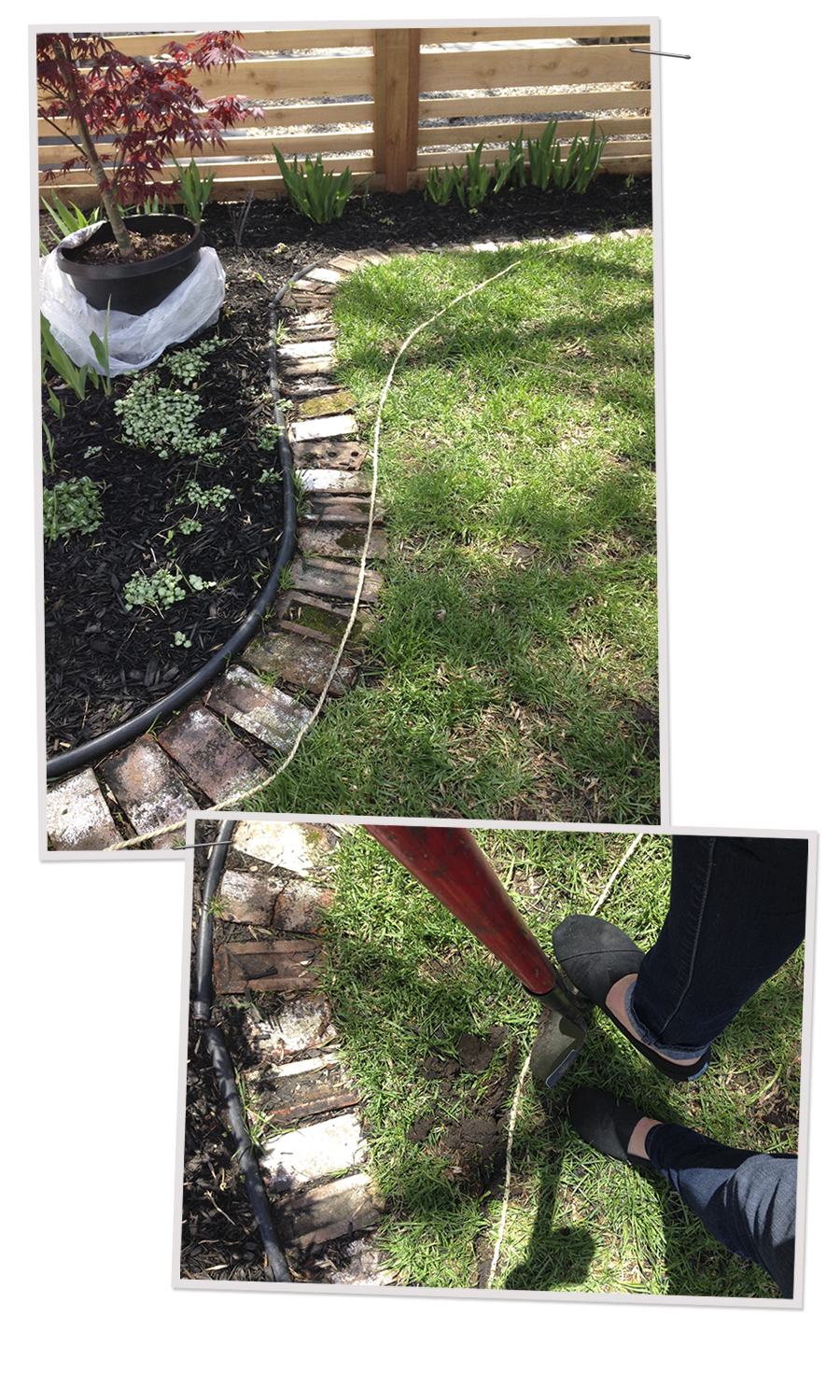 Adjusting the Border on the Flower Bed