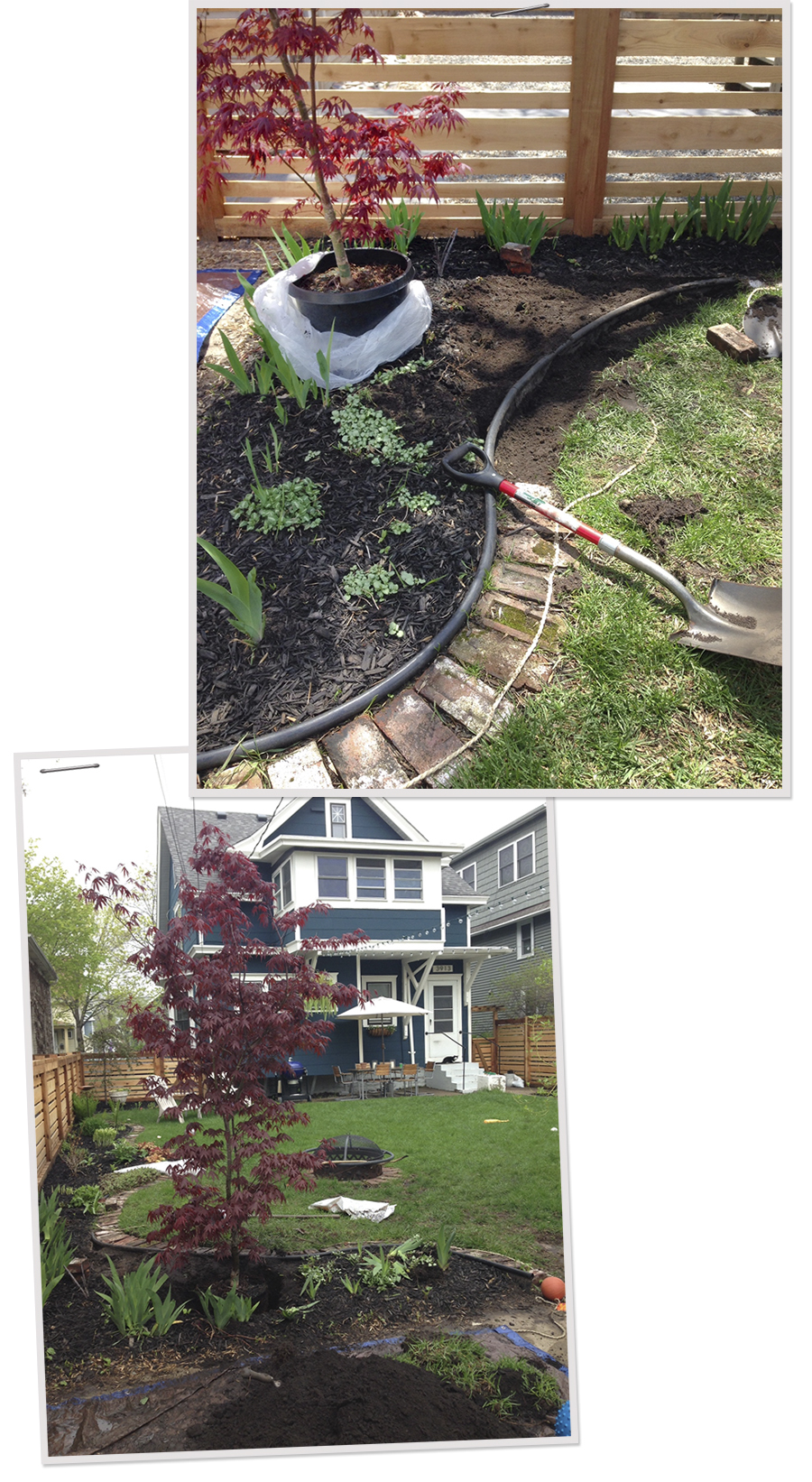 Adjusting the Border and Digging a Hole for our Japanese Maple