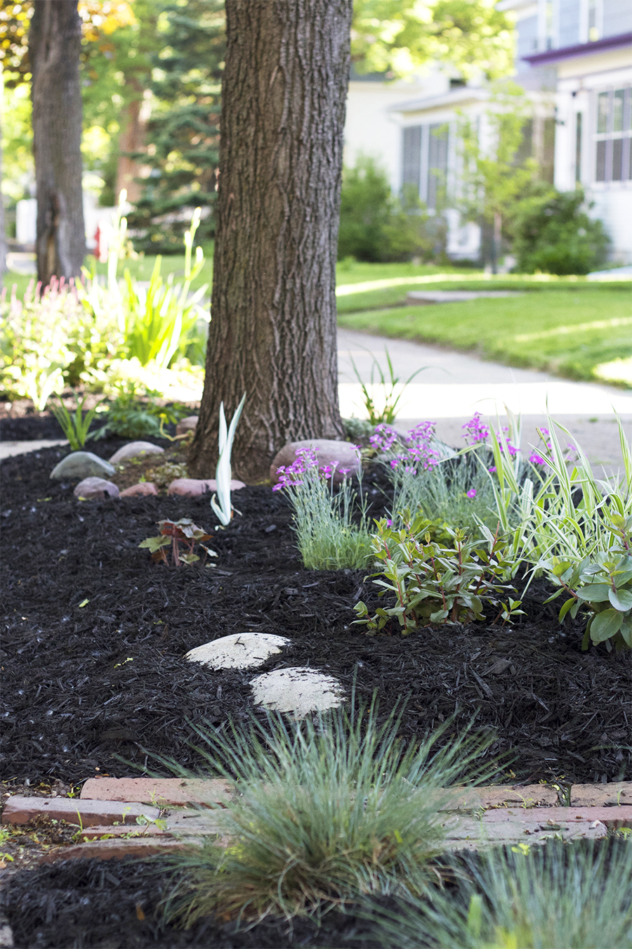 Midwestern Boulevard Garden