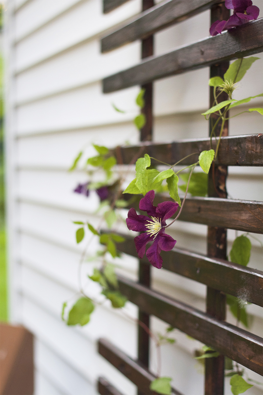 DIY Trellis and Planter Box Tutorial