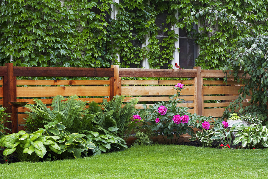 Horizontal Cedar Fence