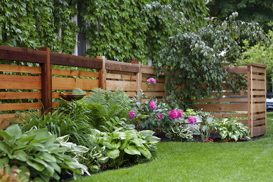 Horizontal Cedar Fence