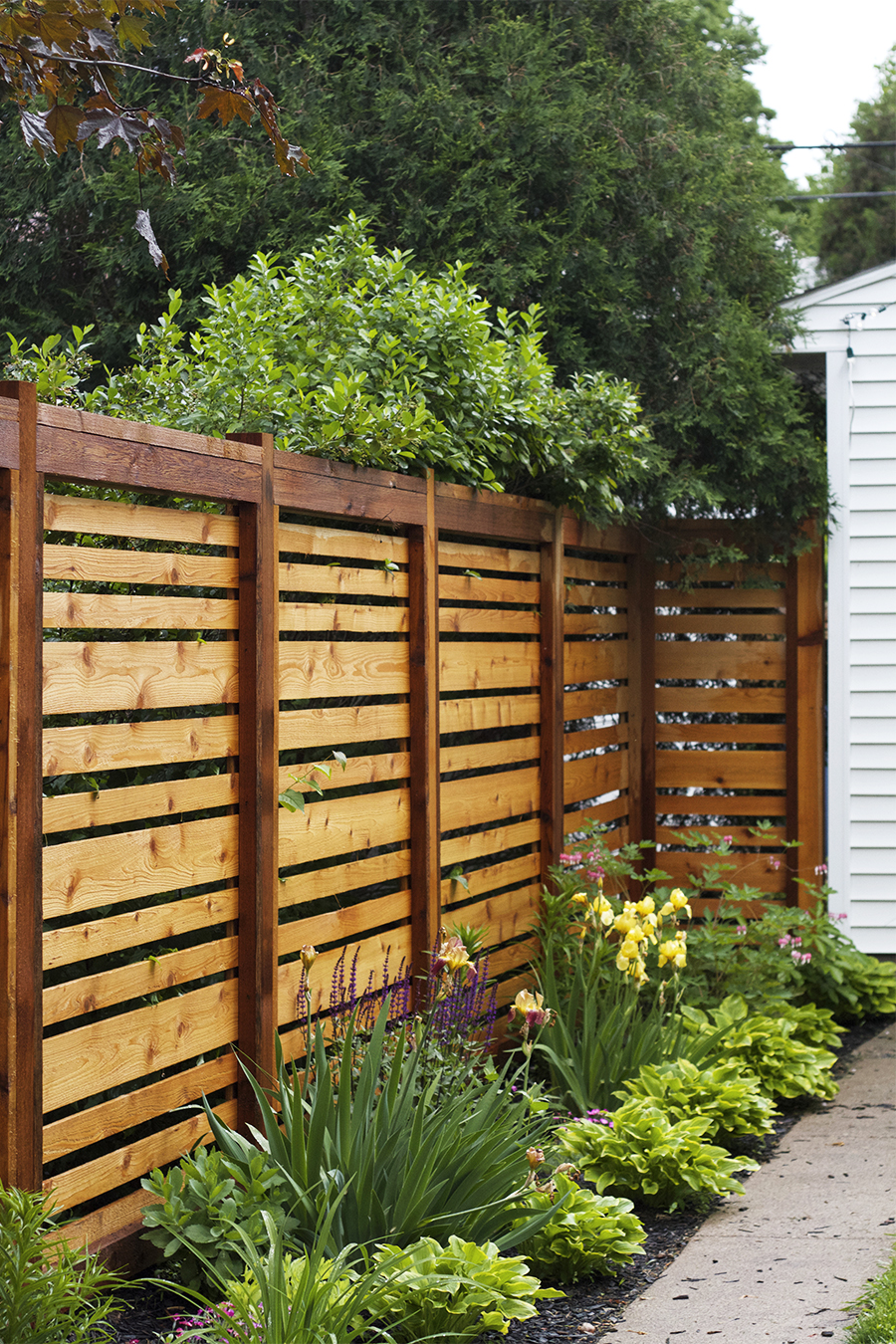 Horizontal Cedar Fence