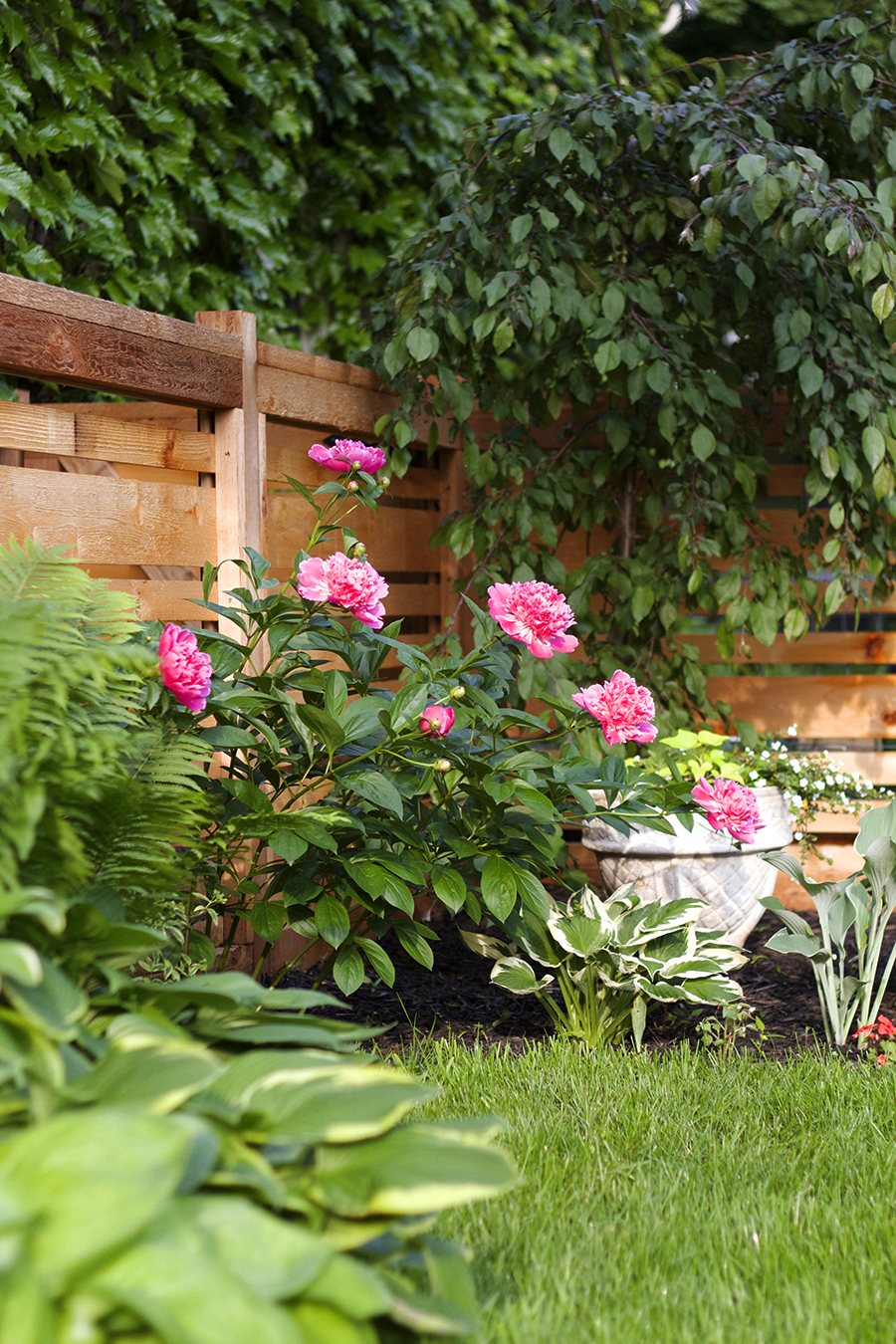 Horizontal Cedar Fence