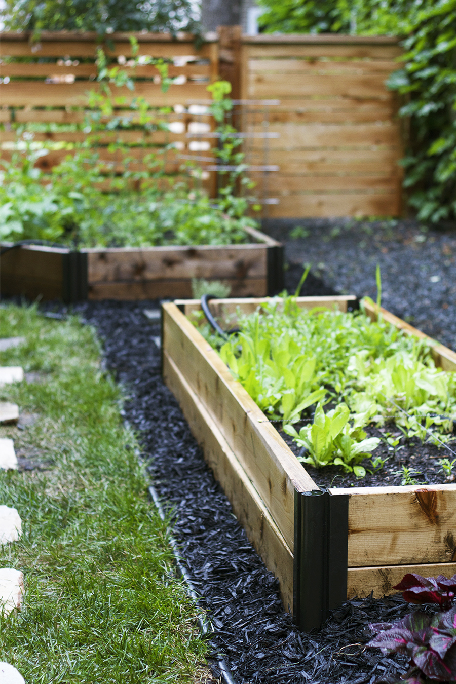 Raised Bed Side Garden