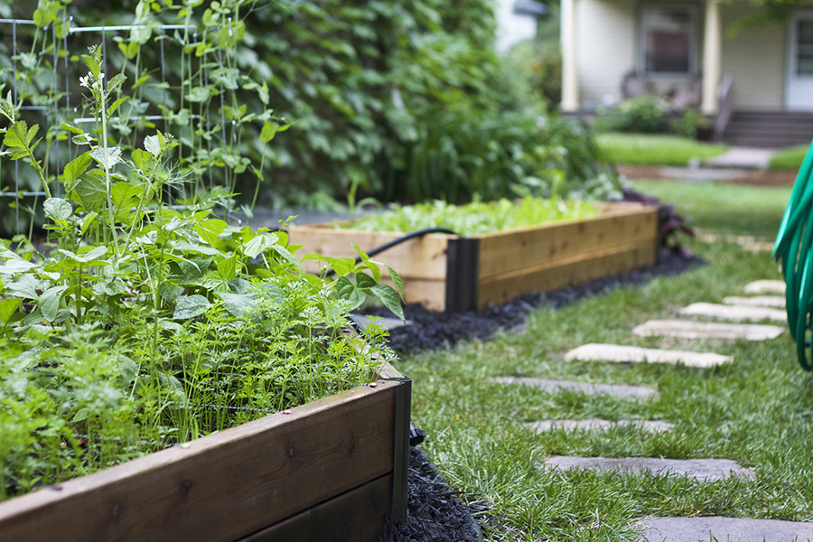 Raised Bed Side Garden