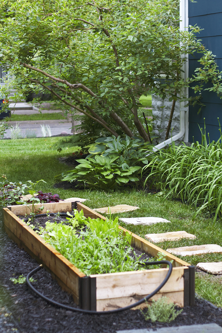 Raised Bed Side Garden