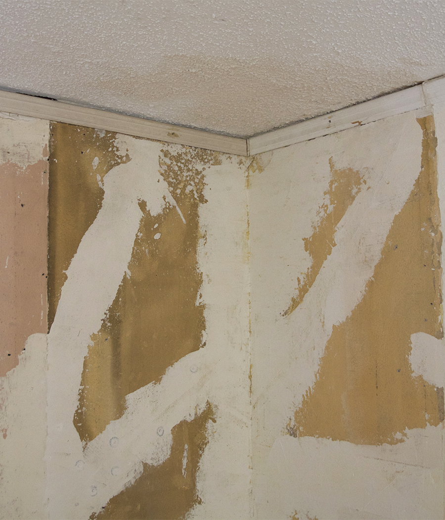 Skim Coating and Repairing Plaster Walls