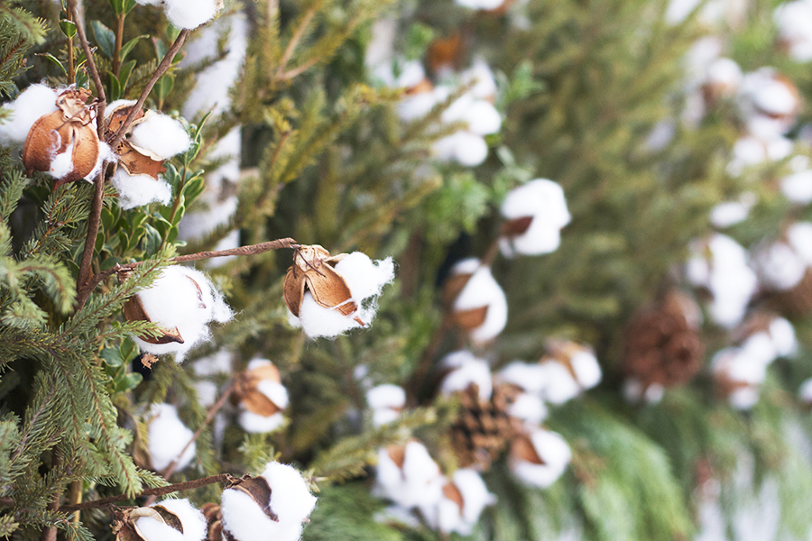 Cotton Branches in Winter Window Boxes