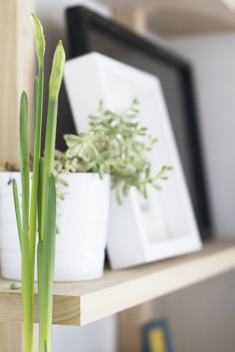 Styling Detail - Scandinavian Inspired Shelving