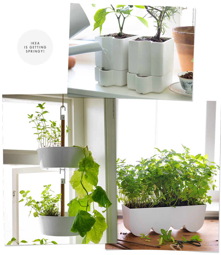 New Line of Planters at Ikea : Spring 2015