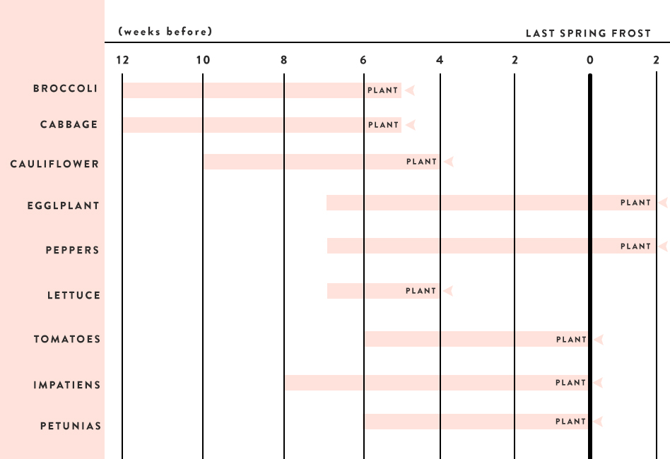 Schedule for Sowing Seeds