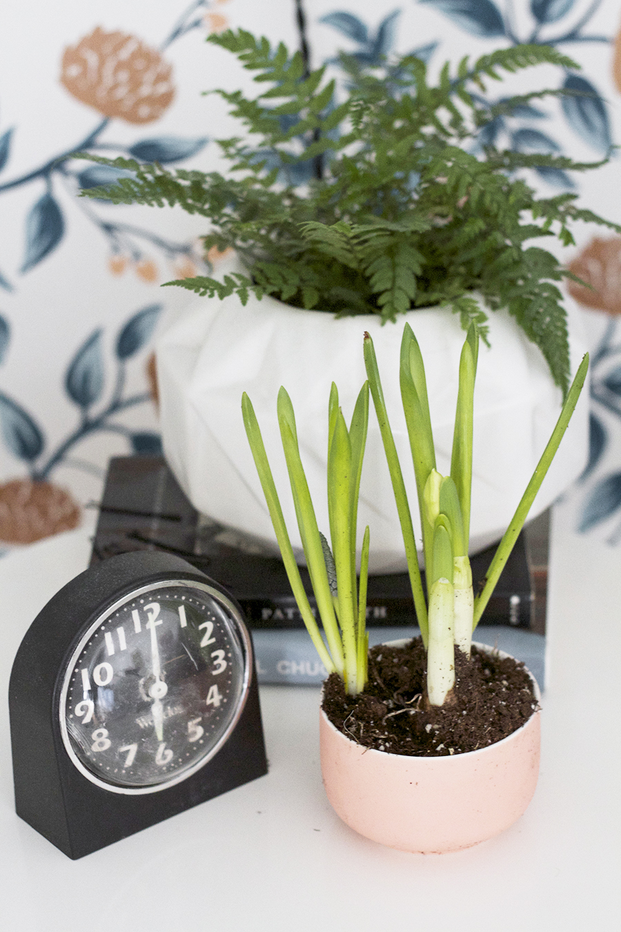 Add Spring to your home using grocery store bulb gardens and pretty little vessels