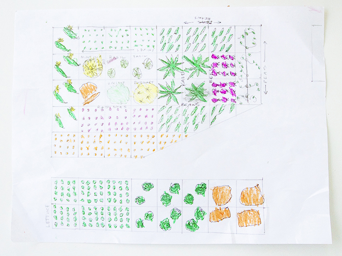 Involving Kids in Vegetable Garden Planning