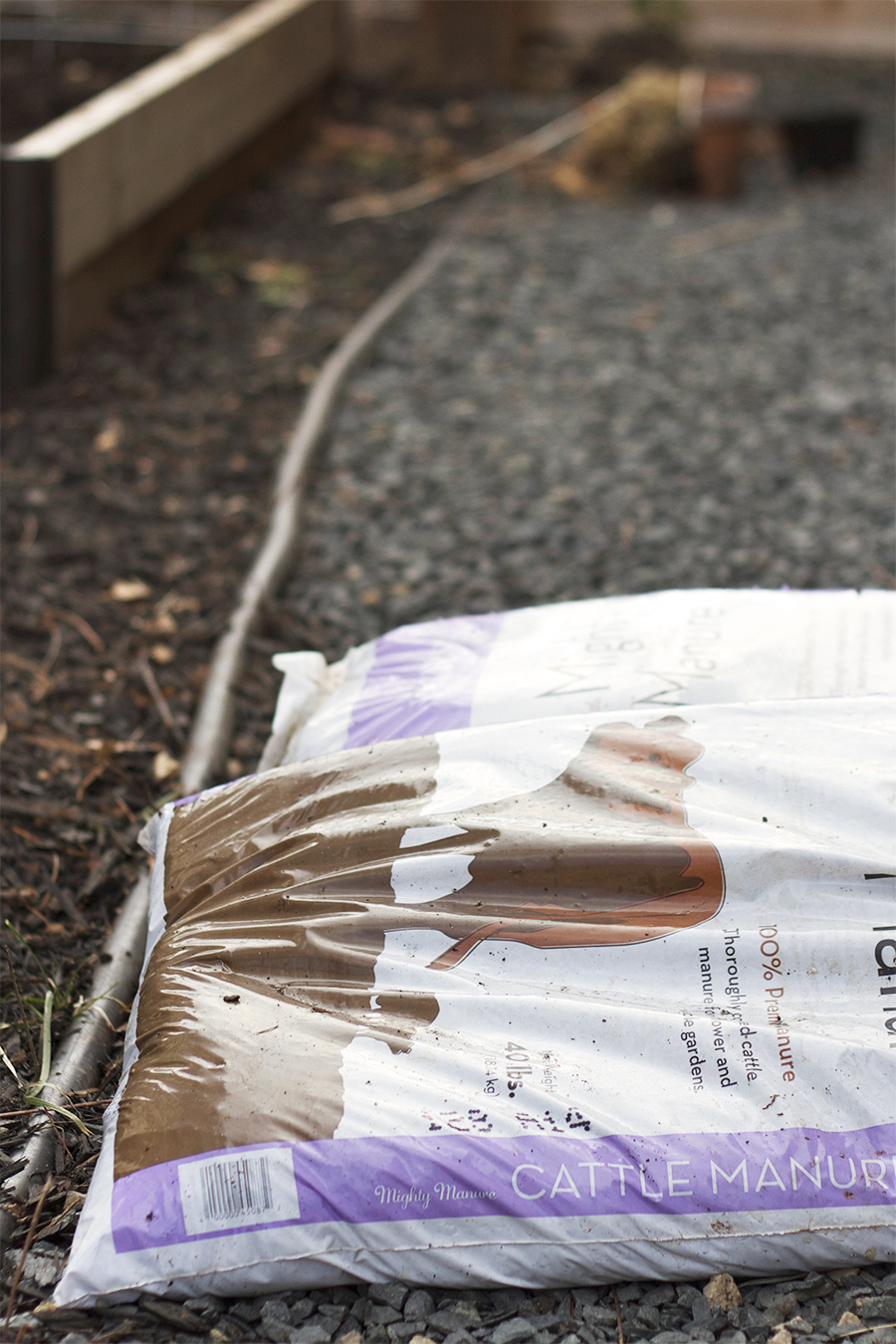 Getting Kids Involved with Gardening