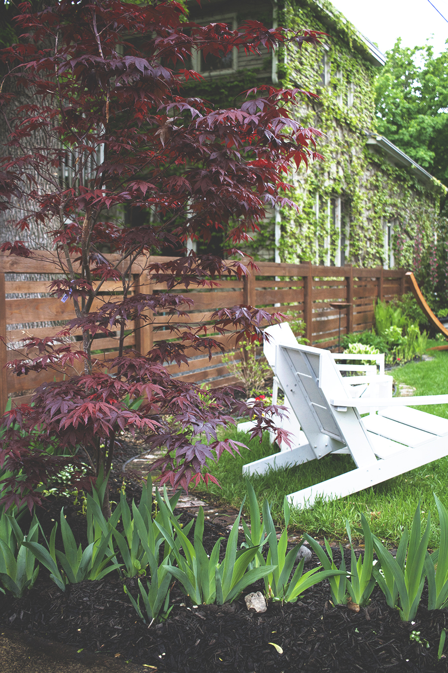 Horizontal Fence Stained Dark Brown