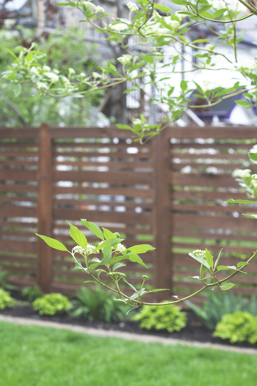Horizontal Fence Stained Dark Brown