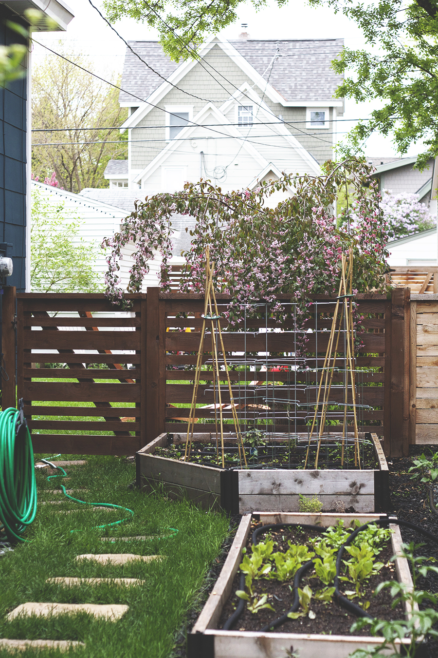 Horizontal Fence Stained Dark Brown