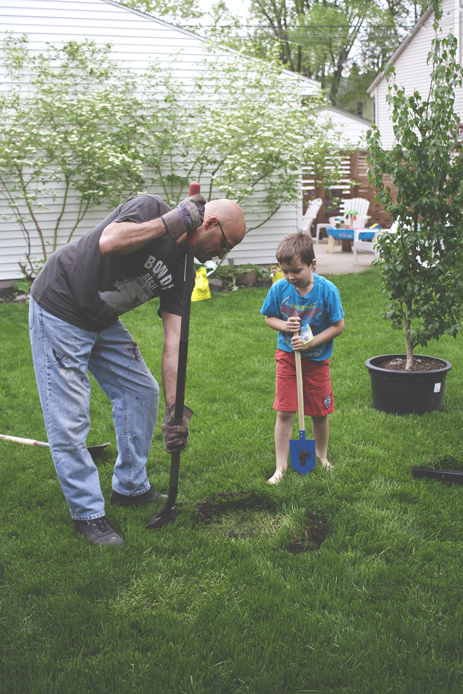 How to Plant a Tree | Deuce Cities HenHouse