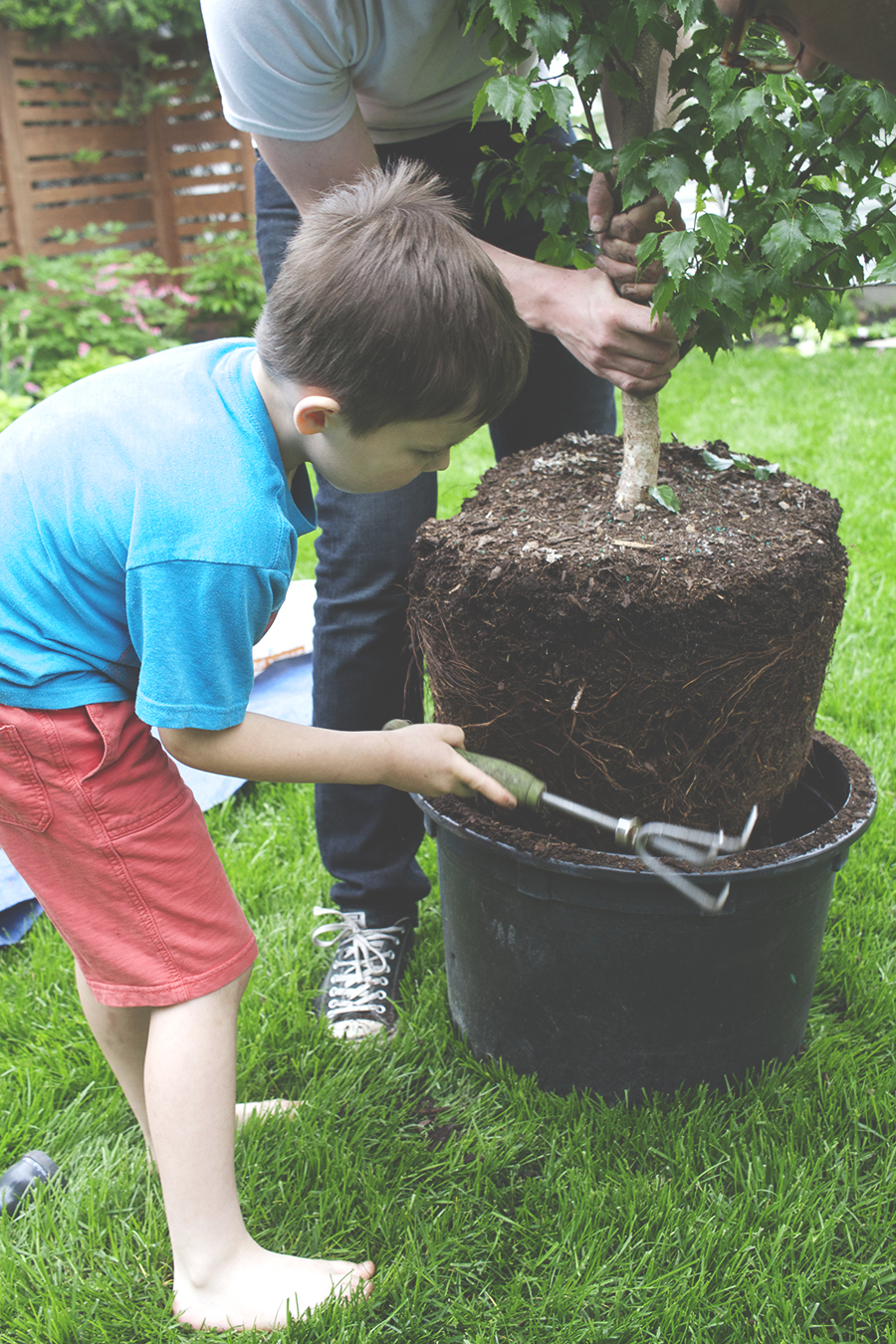 How to Plant a Tree | Deuce Cities HenHouse