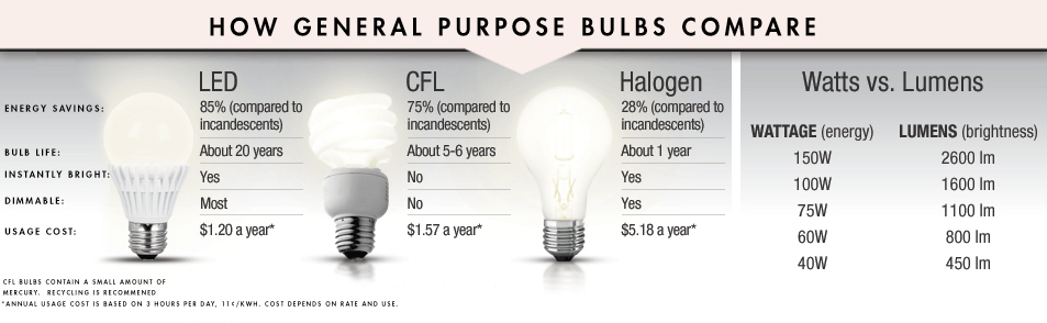 LED Lighting Infographic