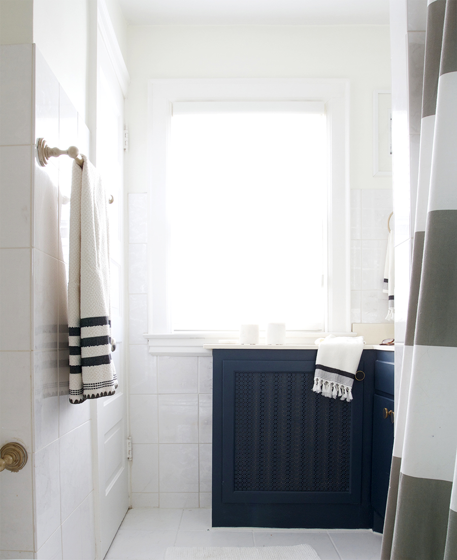 Navy and White Bathroom with Brass Fixtures