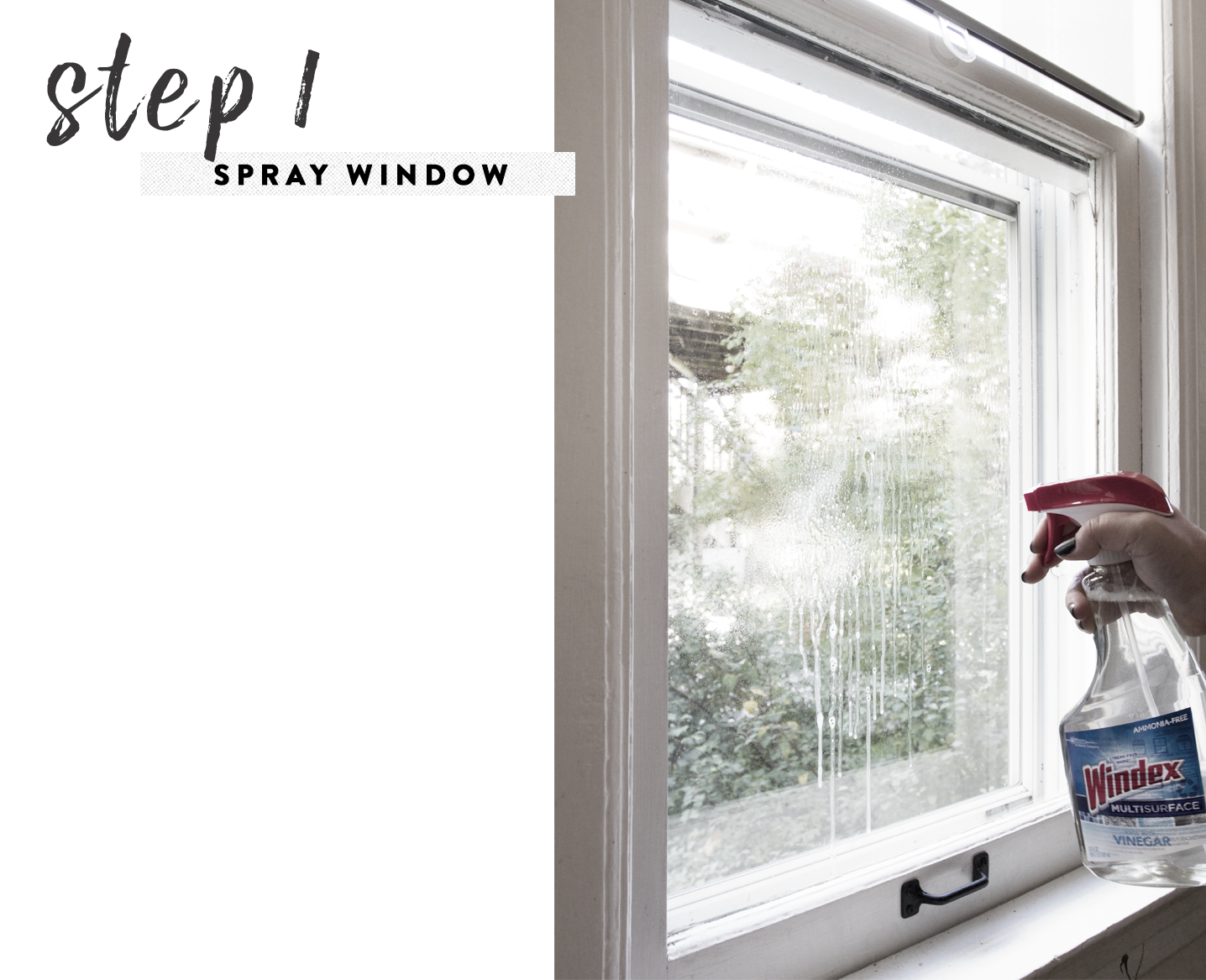 Simple Steps for Window Cleaning | Deuce Cities Henhouse