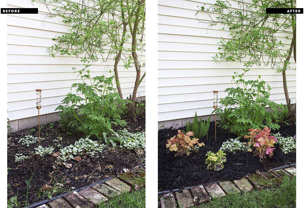 Adding Color to the Garden with Monrovia | Deuce Cities Henhouse