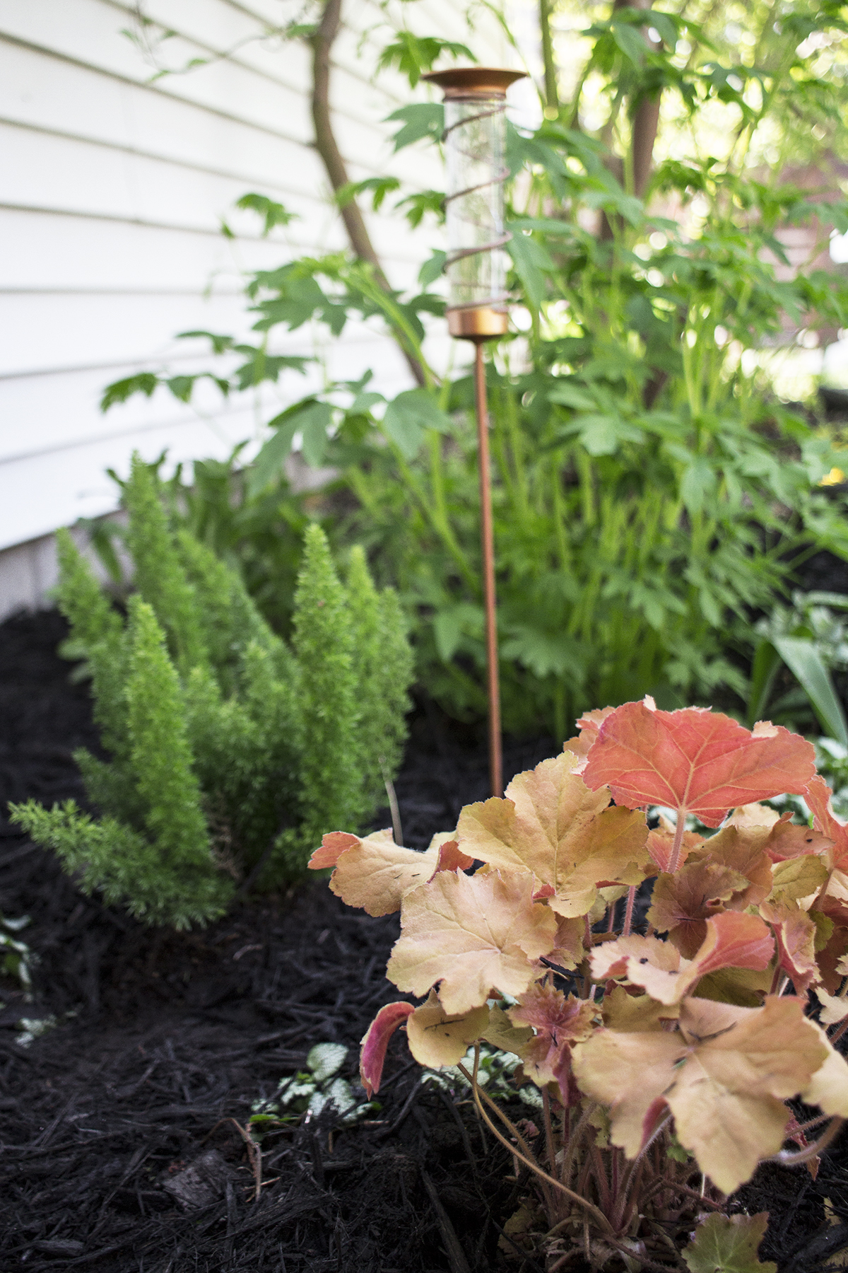 Adding Color to the Garden with Monrovia | Deuce Cities Henhouse