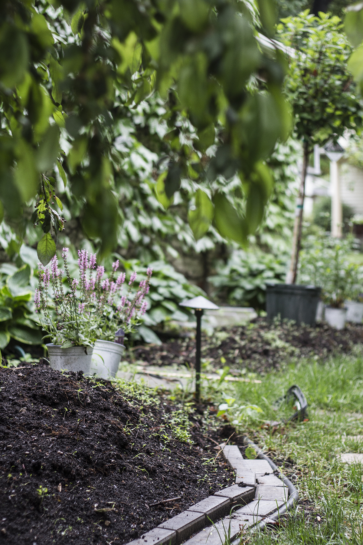 My May Garden // Deuce Cities Henhouse