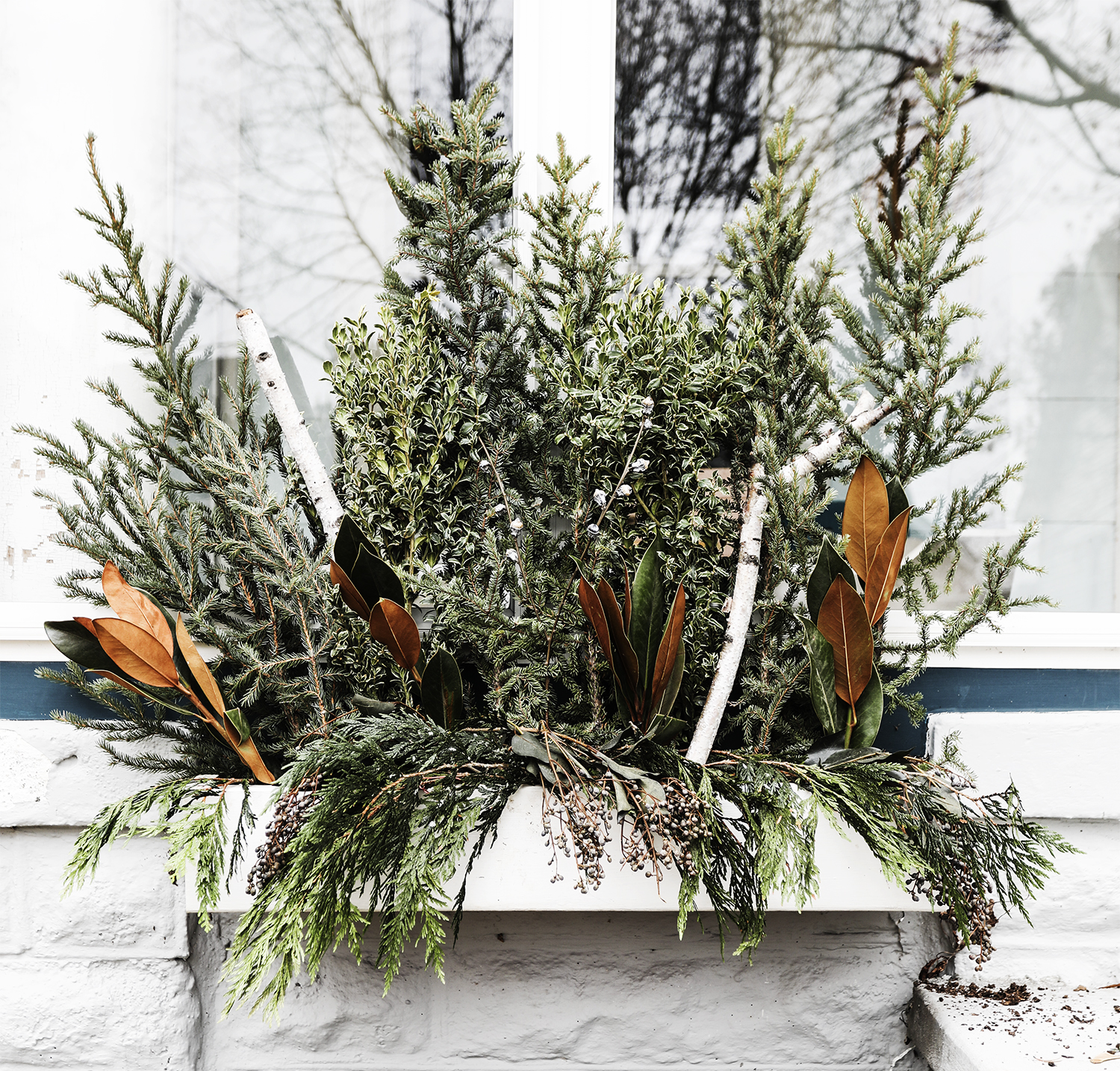 Creating Winter Window Boxes