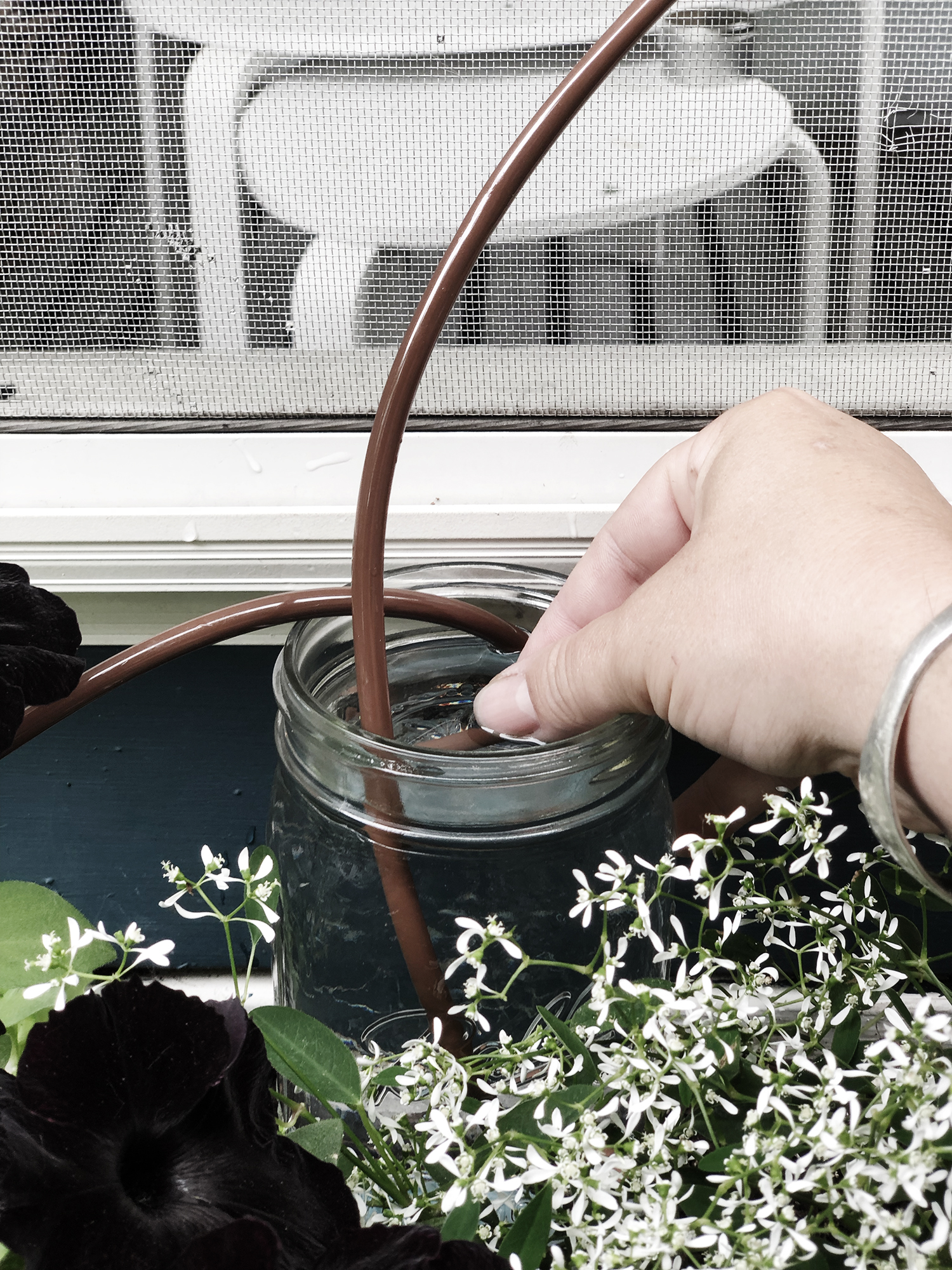 No Touch Smart Watering System for your window boxes, planters and lawn | Deuce Cities Henhouse